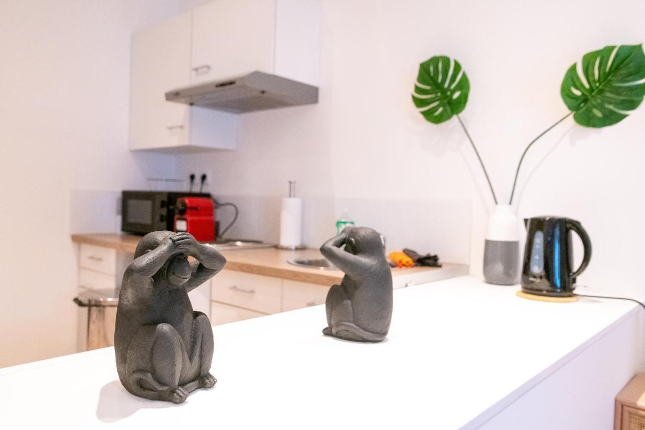 Cosy Location - Confortable, Cosy Et Equipe - Places Gratuites A Proximite Anzin Exterior foto